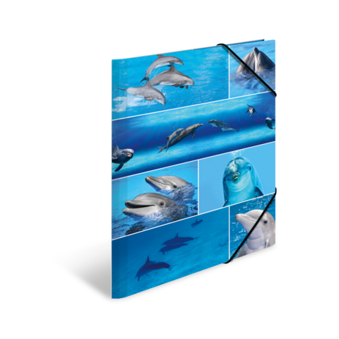 Eine Sammlung von Bildern, die verschiedene Delfine und Wale in einem blauen Wasserumfeld zeigen.