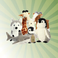 Grüner Strahlenhintergrund mit verschiedenen Plüschtieren von Aurora