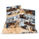 Ein aufgeschlagenes Fotobuch mit Bildern von verschiedenen Pferden, die in unterschiedlichen Posen und Landschaften abgebildet sind.