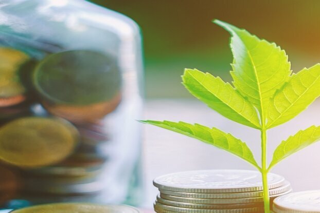 Münzen mit Zweig, Bildmotiv für HERMA Thinrange Etiketten, Querformat