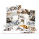 Ein aufgeschlagenes Fotobuch mit verschiedenen Bildern von Katzen, darunter graue, orange und getigerte Kätzchen in verschiedenen Posen.