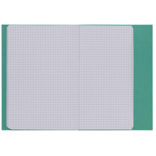 Ein offenes kariertes Notizbuch mit leeren Seiten, das auf einem grünen Hintergrund liegt.