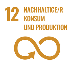 Nachhaltige/r Konsum und Produktion, dargestellt durch das Symbol einer unendlichen Schleife, mit der Nummer 12.