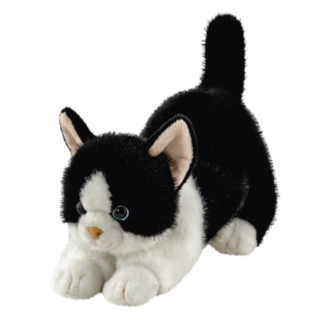 Schwarze und weiße Plüschkatze in einer spielerischen Pose, mit großen Augen und einem weichen, kuscheligen Körper.