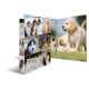 Ein Ordner mit Fotos von verschiedenen Hunderassen, darunter Welpen und ausgewachsene Hunde, in unterschiedlichen Posen und Umgebungen.