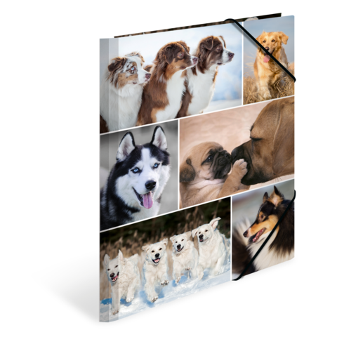 Eine Collage mit verschiedenen Hunderassen, darunter ein Siberian Husky, Golden Retriever und mehrere Welpen, die in verschiedenen Posen abgebildet sind.