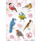 Sechs verschiedene Vögel, darunter ein Gimpel, ein Buchfink und ein Blaumeise, umgeben von zarten Blütenmotiven.