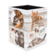 Ein quadratischer Behälter mit verschiedenen Katzenmotiven, darunter Bilder von Katzen, die sich umarmen und spielen.