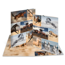 HERMA Sammelmappen