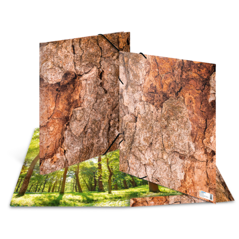 Zwei Ordner mit einer Holzrinde-Textur, geöffnet und auf einem grünen Waldboden platziert.
