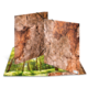 Zwei Ordner mit einer Holzrinde-Textur, geöffnet und auf einem grünen Waldboden platziert.