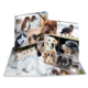 Ein aufgeschlagenes Album mit verschiedenen Hundefotos, darunter Rassen wie Siberian Husky, Labrador und Mischlinge, in verschiedenen Posen.