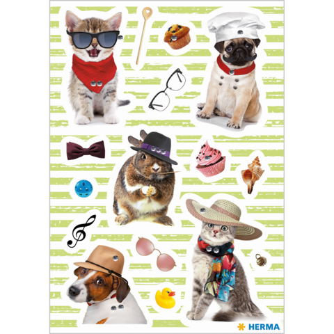 Katzen und Hunde in verschiedenen lustigen Outfits und Accessoires, darunter Sonnenbrillen, Hüte und Schals, auf einem gestreiften Hintergrund.