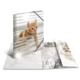 Ein orangefarbener Kater schaut neugierig durch eine Jalousie, umgeben von mehreren Fotos anderer Katzen.