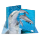 Ein aufgeschlagenes Notizbuch mit einem Bild von einem Delfin und weiteren Delfinen im Wasser.