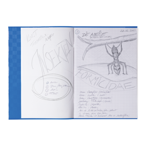 Skizze einer Ameise mit dem Titel "Die Anten" und Notizen zu Insekten, einschließlich Themen und Begriffen.