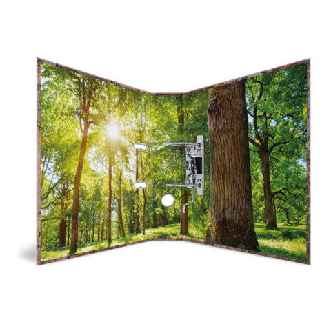 Ein aufklappbarer Bildschirm mit einer Waldlandschaft, die Sonnenstrahlen durch grüne Bäume zeigt.
