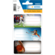 Sportliche Etiketten mit Motiven von American Football, Skifahren und Basketball, jeweils mit Platz für Beschriftungen.