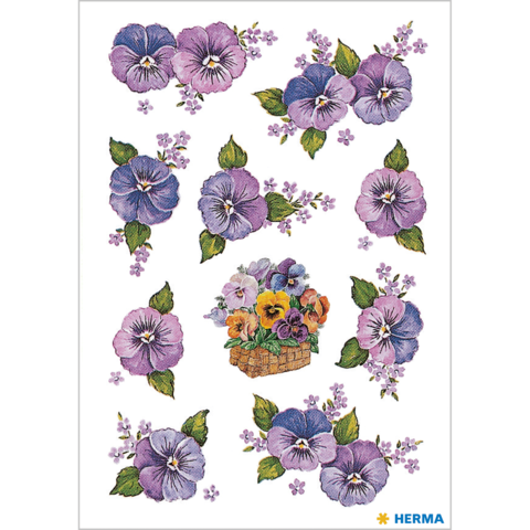 Bunte Veilchen in verschiedenen Farben und Anordnungen, darunter ein Korb mit gemischten Blumen.