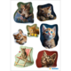 Eine Sammlung von Bildern von Kätzchen in verschiedenen Posen, darunter spielende und neugierige Katzen mit orangefarbenem Fell.