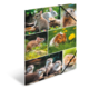Eine Collage von kleinen Tieren, darunter Kaninchen, Meerschweinchen, ein Maus und Otter, die in natürlichen Umgebungen posieren.
