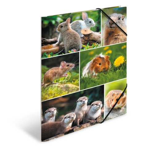 Eine Collage von kleinen Tieren, darunter Kaninchen, Meerschweinchen, ein Maus und Otter, die in natürlichen Umgebungen posieren.