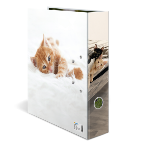 Ein Ordner mit einem Bild von zwei Katzen, einer orangefarbenen und einer schwarzen, die auf einem weißen Untergrund liegen.