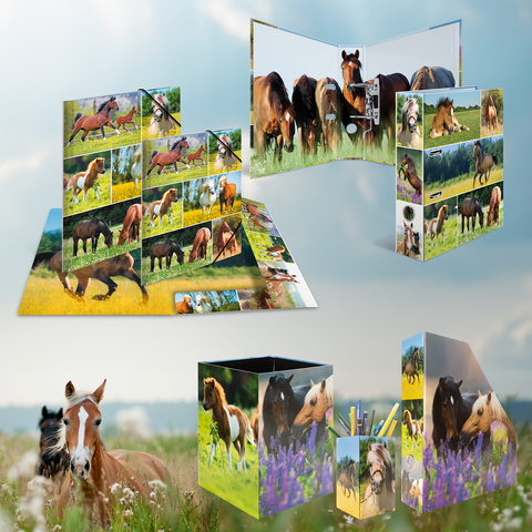 Verschiedene Produkte mit Pferdemotiven, darunter ein Faltbuch, Aufbewahrungsbox und Stiftehalter, umgeben von einer grünen Wiese.