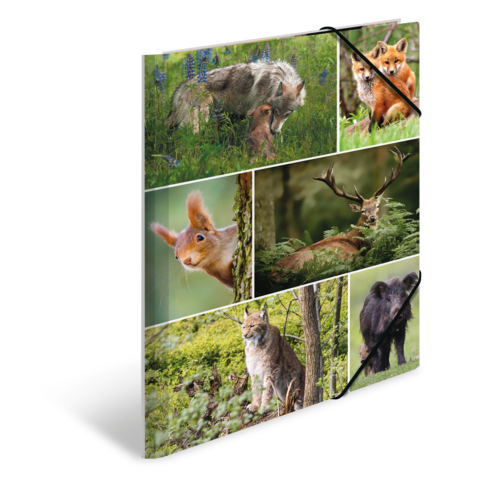 Eine Collage mit verschiedenen Wildtieren, darunter ein Eichhörnchen, ein Reh, ein Luchs und Füchse, umgeben von grüner Natur.