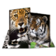 Zwei Tigerköpfe, einer mit geflecktem Fell und der andere mit gestreiftem Fell, auf einem aufgeschlagenen Buch.