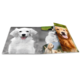 Ein offenes Fotobuch mit verschiedenen Hundefotos, darunter ein lächelnder Golden Retriever und andere Rassen in unterschiedlichen Posen.