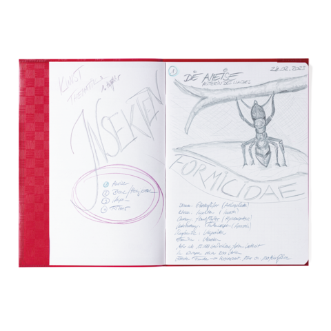 Skizze einer Ameise mit dem Titel "Die Ameisen" und Notizen zu Insekten, einschließlich einer Liste von Arten und Informationen.