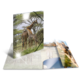 Drei Giraffen stehen in einer grünen Landschaft, während ein aufgeschlagenes Buch mit Tierbildern im Vordergrund zu sehen ist.