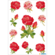 Rosen in verschiedenen Formen und Größen, darunter große rote und rosa Blüten sowie Knospen, auf weißem Hintergrund angeordnet.