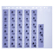 Mehrere Filmstreifen mit schwarz-weißen Porträts von Personen, angeordnet in einer durchsichtigen Hülle.