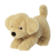 Ein plüschiger, beige Hund mit schwarzen Augen und einem aufrechten Schwanz, der in einer spielerischen Position sitzt.