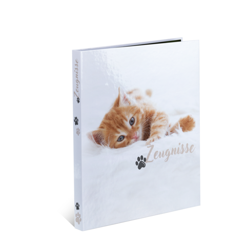 Ein Fotobuch mit einem Bild einer spielenden orangefarbenen Katze auf dem Cover, beschriftet mit "Zengnisse".