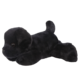Schwarzer Plüschhund, liegend mit einem freundlichen Gesichtsausdruck und einem geschwungenen Schwanz.