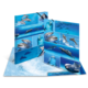 Ein aufgeschlagenes Faltbuch mit Bildern von Delfinen und Walen in blauen Gewässern. Die Seiten zeigen verschiedene Unterwasseraufnahmen.