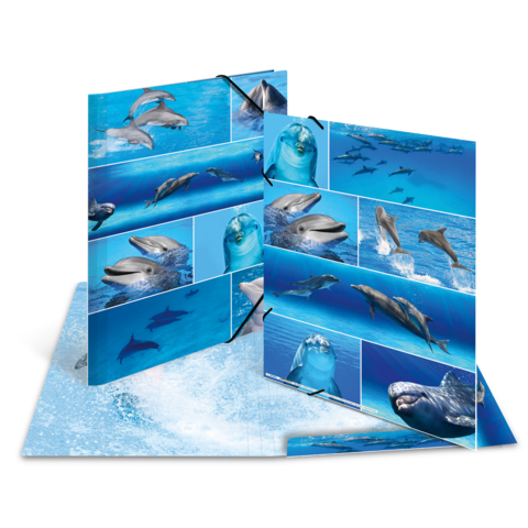 Ein aufgeschlagenes Faltbuch mit Bildern von Delfinen und Walen in blauen Gewässern. Die Seiten zeigen verschiedene Unterwasseraufnahmen.