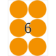 Sechs orangefarbene Kreise auf weißem Hintergrund, mit der Zahl 6 in der Mitte.