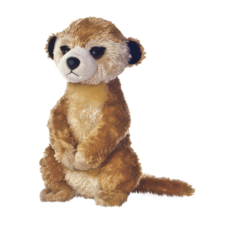 Plüschmanguste sitzt aufrecht mit einem neutralen Ausdruck, die Vorderpfoten auf den Knien.