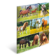 Eine Sammlung von Pferden in verschiedenen Posen, darunter Fohlen, Ponys und erwachsene Pferde, die auf einer Wiese grasen oder laufen.