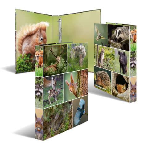 Eine Sammlung von Tierfotos, darunter ein Eichhörnchen, Reh, Dachs, Fuchs und verschiedene Vögel, präsentiert in einem aufklappbaren Fotobuch.